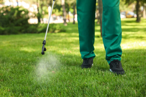 Best Exterminator Services  in Indian Wells, CA
