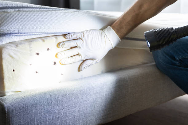 Reliable Indian Wells, CA Pest Control Solutions